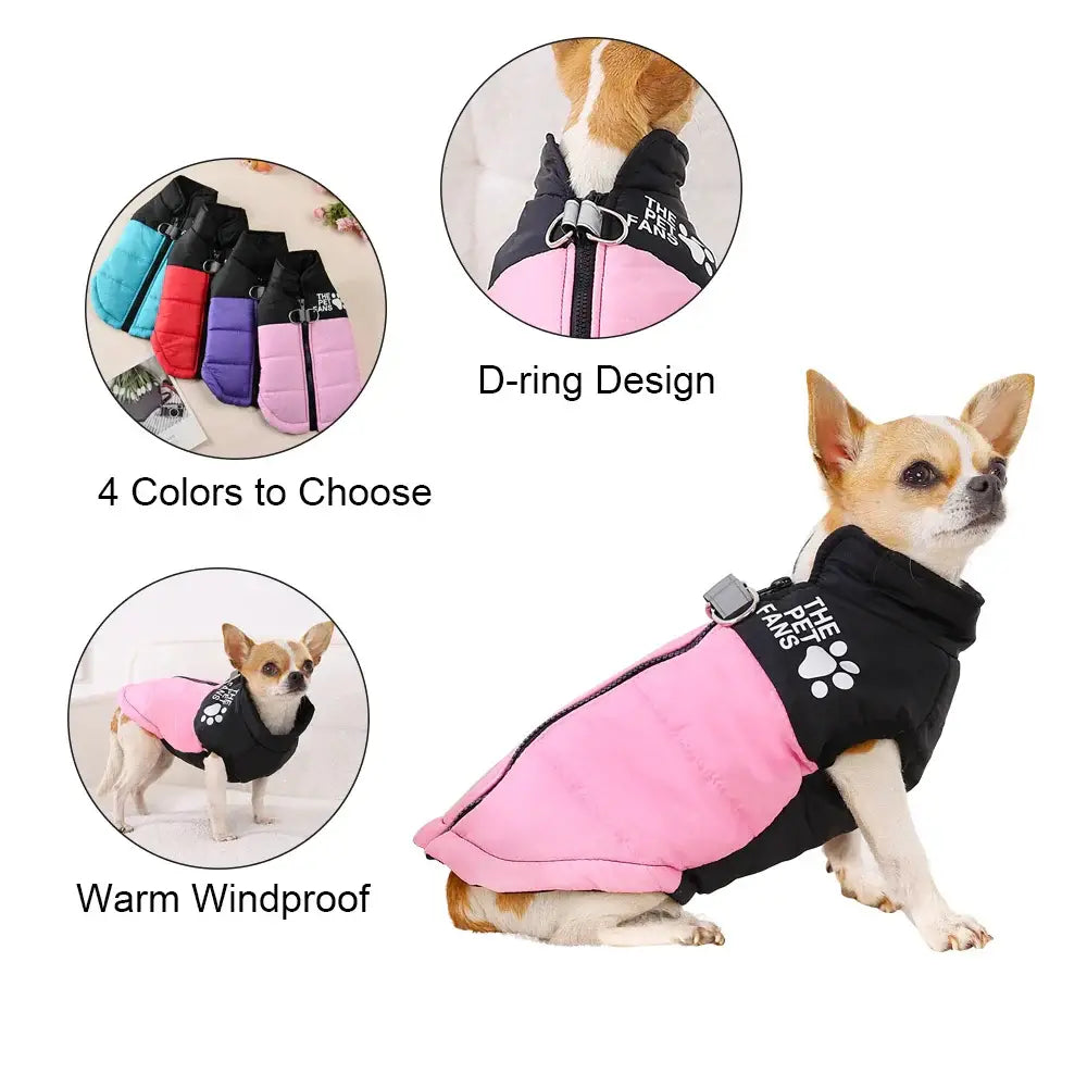 veste coupe-vent pour chien