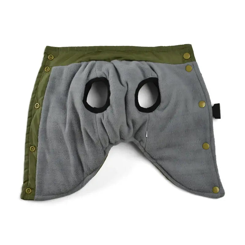 Veste coupe-vent pour chien