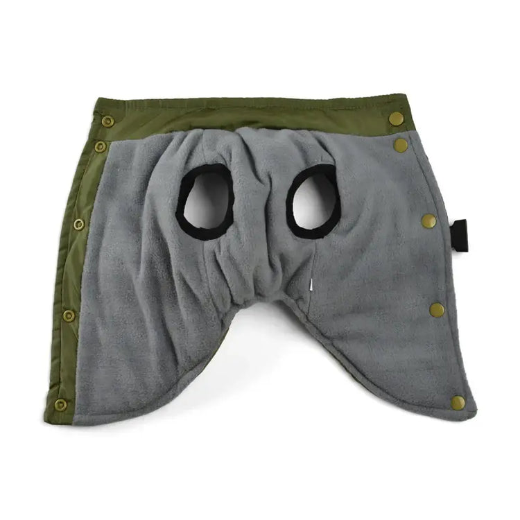 Veste coupe-vent pour chien