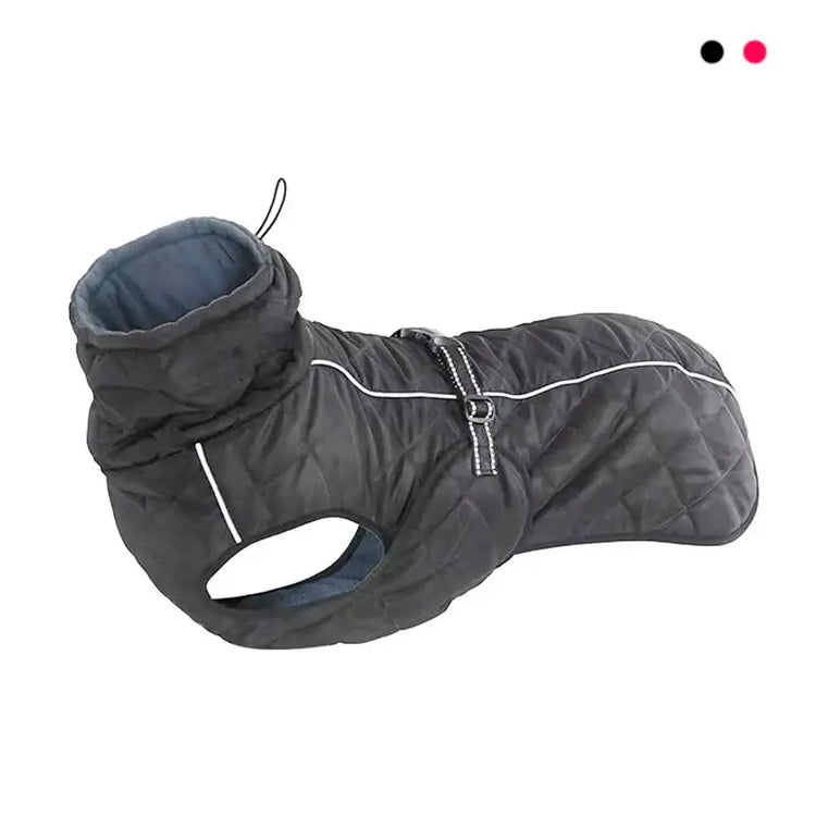 Veste d’extérieur pour chien