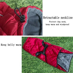 Veste d’extérieur pour chien