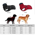 Veste d’extérieur pour chien