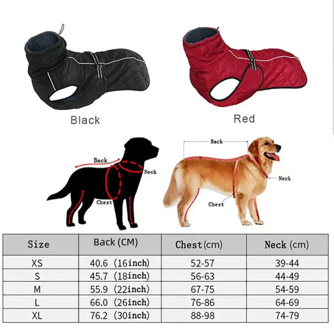 Veste d’extérieur pour chien