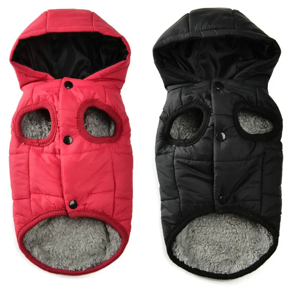 Veste d’hiver à capuche pour chien