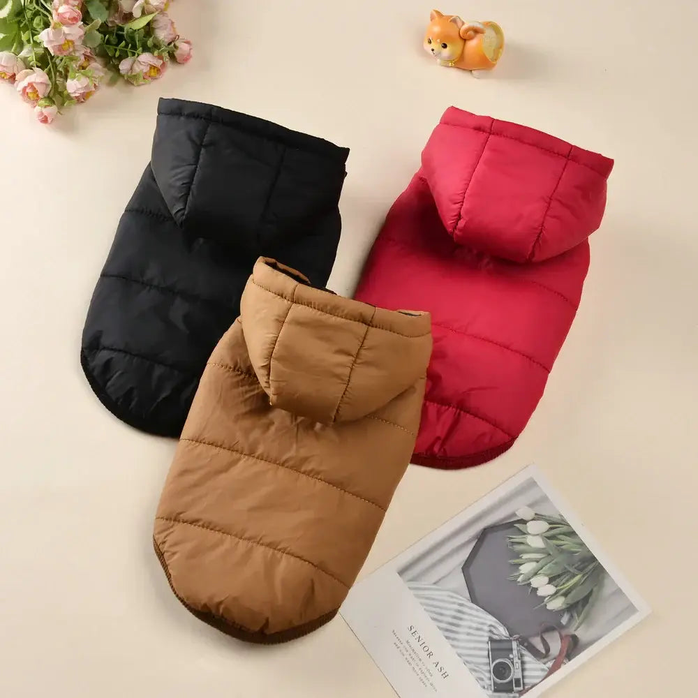 Veste d’hiver à capuche pour chien