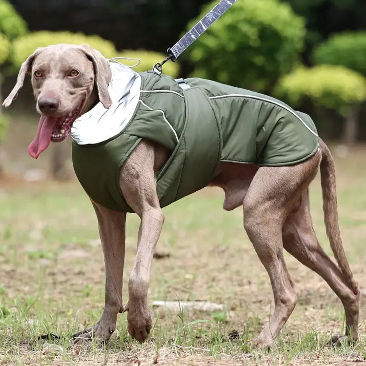 Veste d’hiver de luxe pour chien