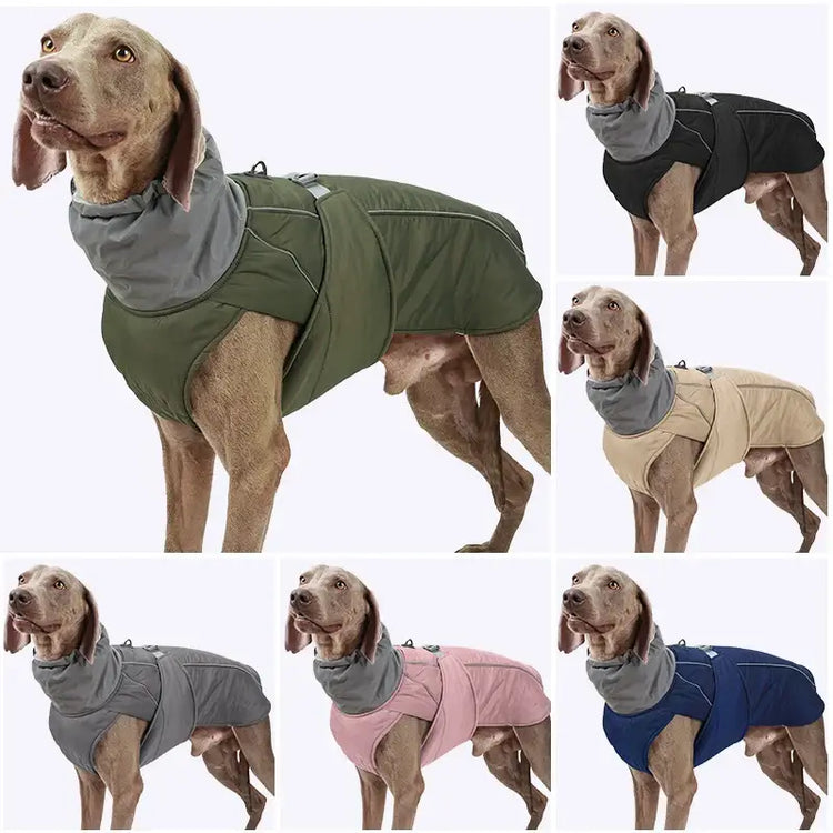 Veste d’hiver de luxe pour chien