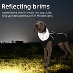 Veste d’hiver de luxe pour chien