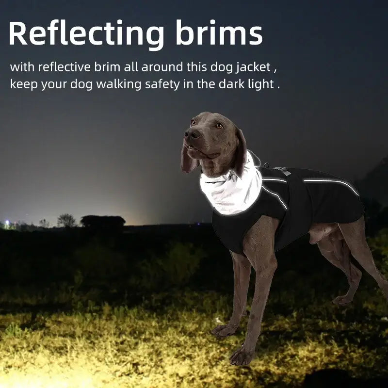 Veste d’hiver de luxe pour chien
