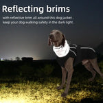 Veste d’hiver de luxe pour chien