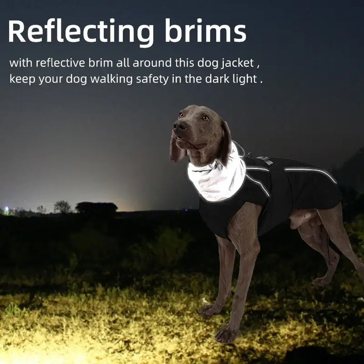 Veste d’hiver de luxe pour chien
