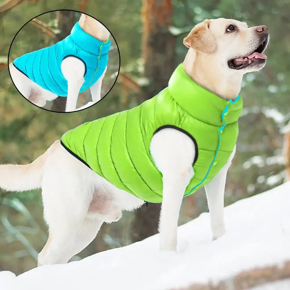 Veste d’hiver douce pour chien
