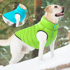 Veste d’hiver douce pour chien
