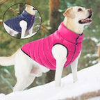 Veste d’hiver douce pour chien