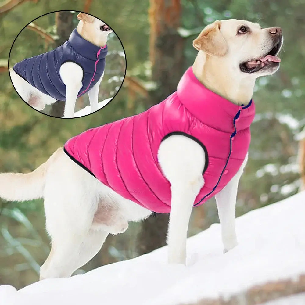 Veste d’hiver douce pour chien