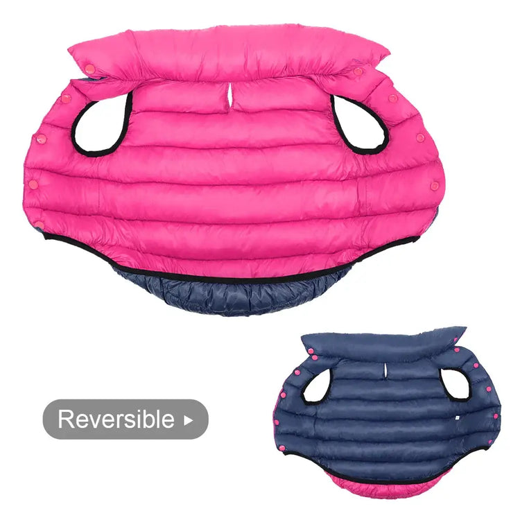 Veste d’hiver douce pour chien