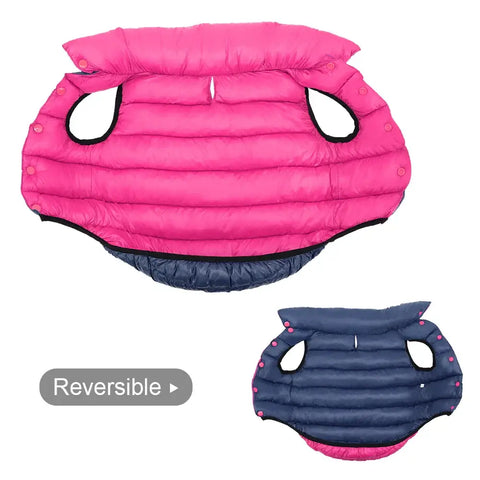 Veste d’hiver douce pour chien