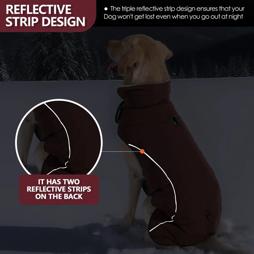 veste d’hiver imperméable
