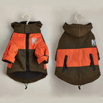 Veste d’hiver pour chien