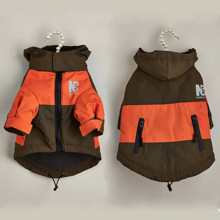 Veste d’hiver pour chien