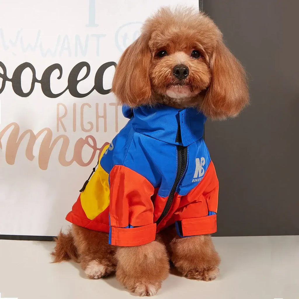 Veste d’hiver pour chien