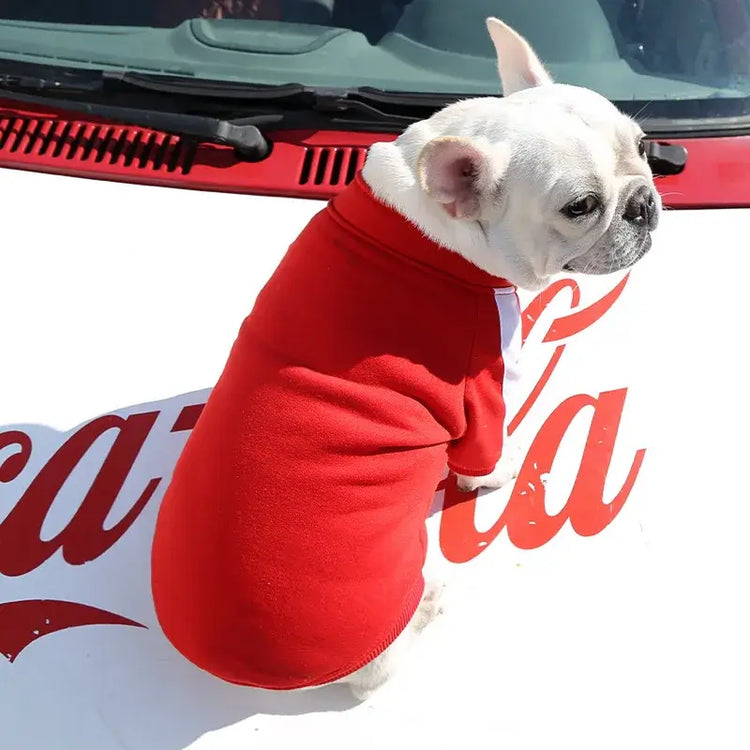 Veste d’hiver pour chien de baseball