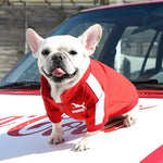 Veste d’hiver pour chien de baseball