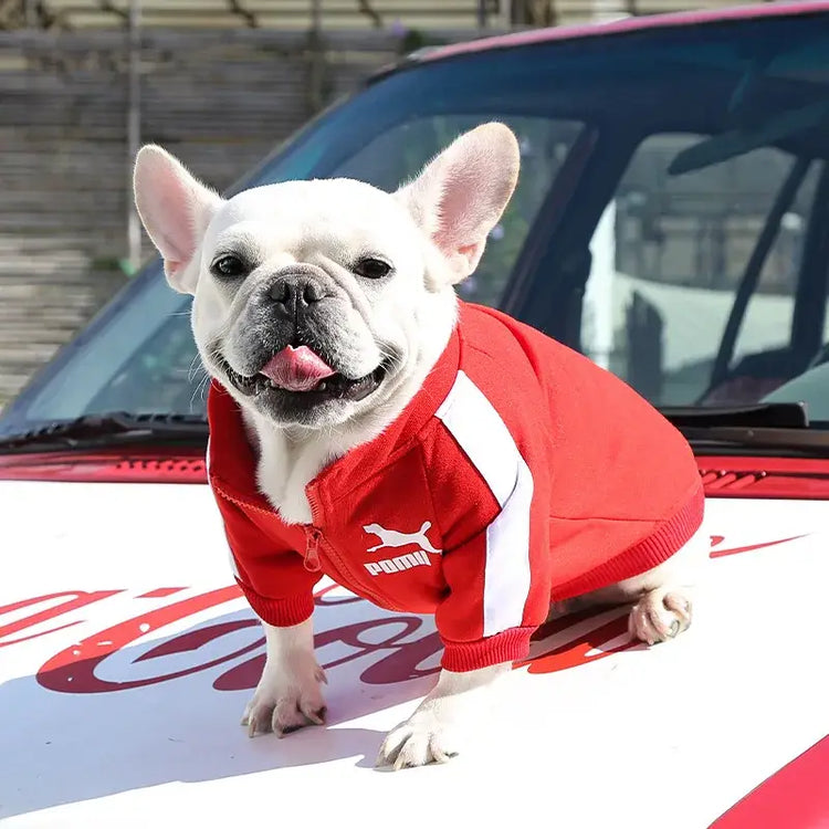 Veste d’hiver pour chien de baseball