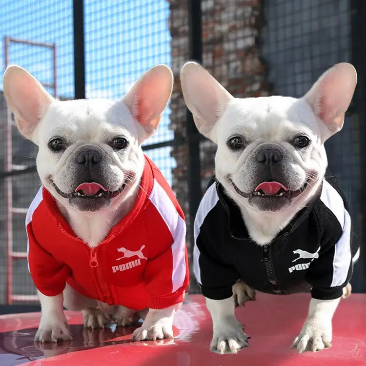 Veste d’hiver pour chien de baseball