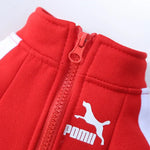 Veste d’hiver pour chien de baseball