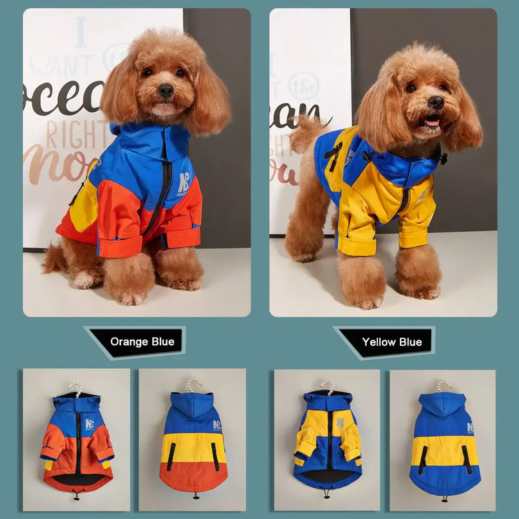 Veste d’hiver pour chien