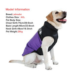 Veste d’hiver pour gros chien