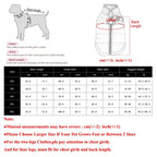 Veste d’hiver pour gros chien