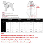 Veste d’hiver pour gros chien