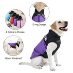 Veste d’hiver pour gros chien