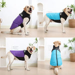 Veste d’hiver pour gros chien