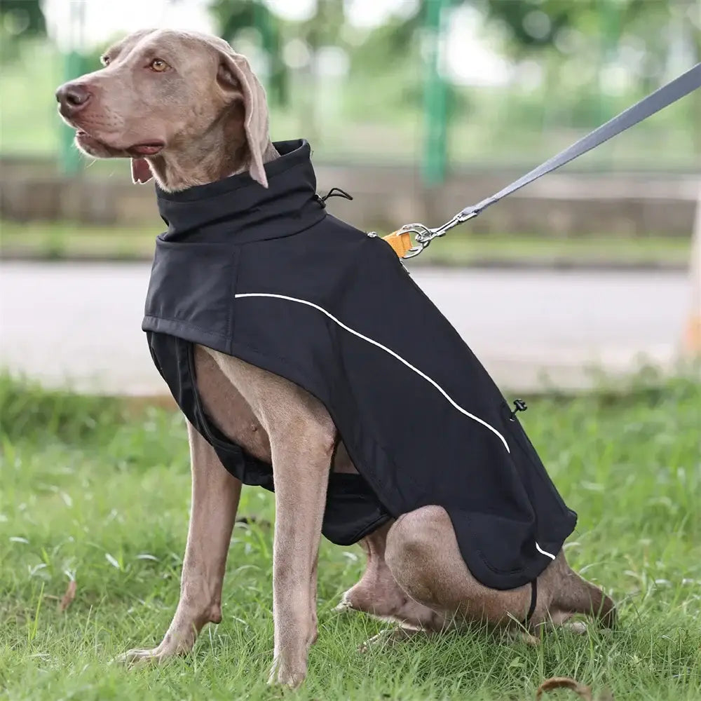 Veste imperméable pour grands chiens
