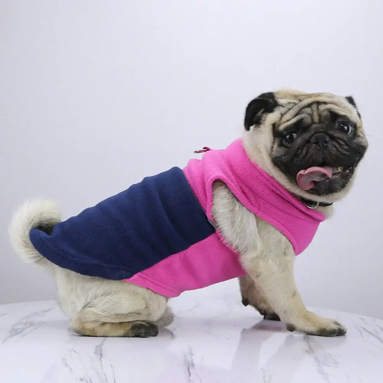 Veste polaire d’hiver pour chien