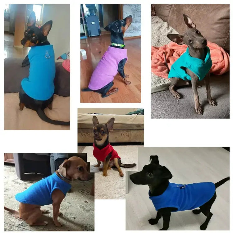 Veste polaire d’hiver pour chien