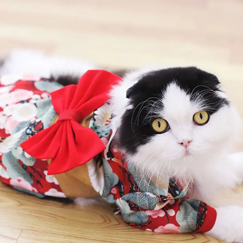 Veste pour animaux de compagnie à motif de fleurs de cerisier