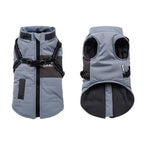Veste pour chien