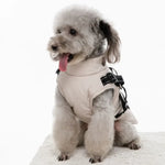 Veste pour chien