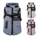 Veste pour chien