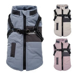 Veste pour chien