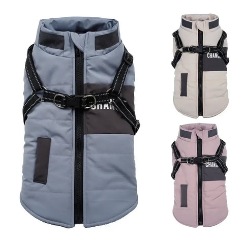 Veste pour chien