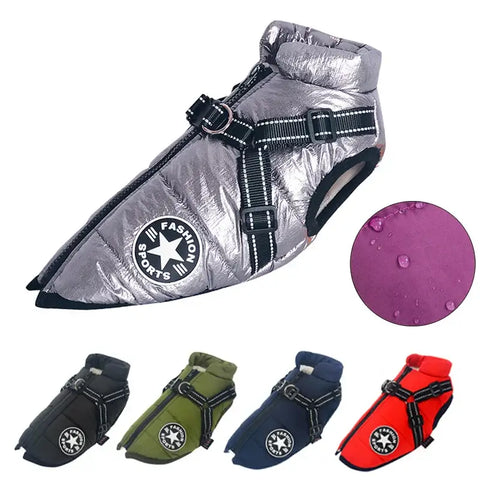 Veste pour chien