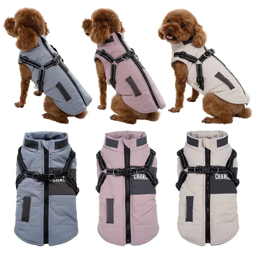 Veste pour chien