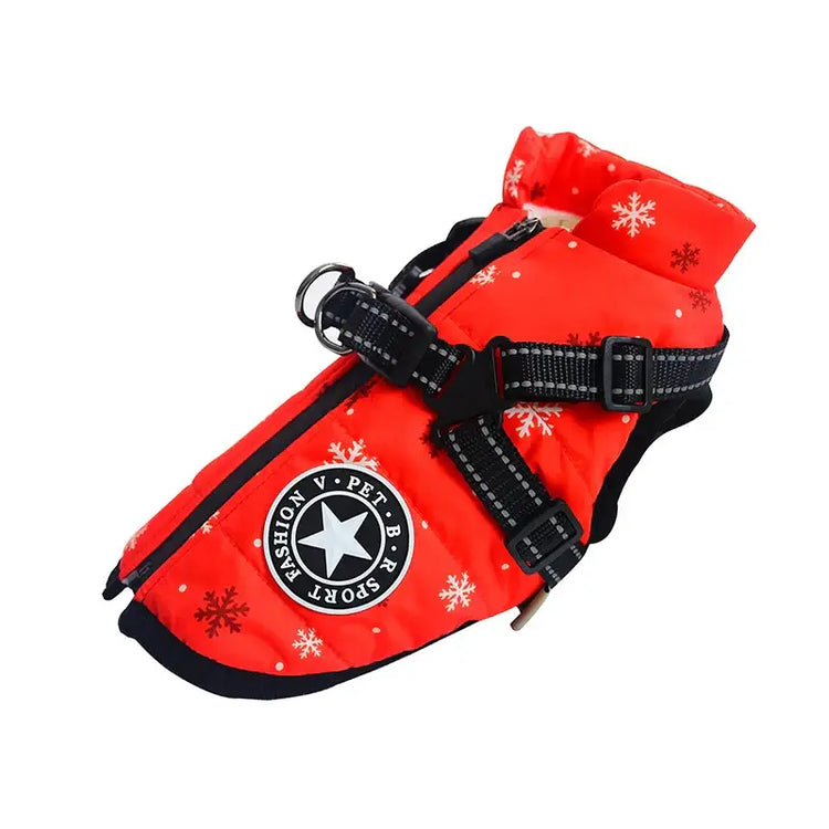 Veste pour chien