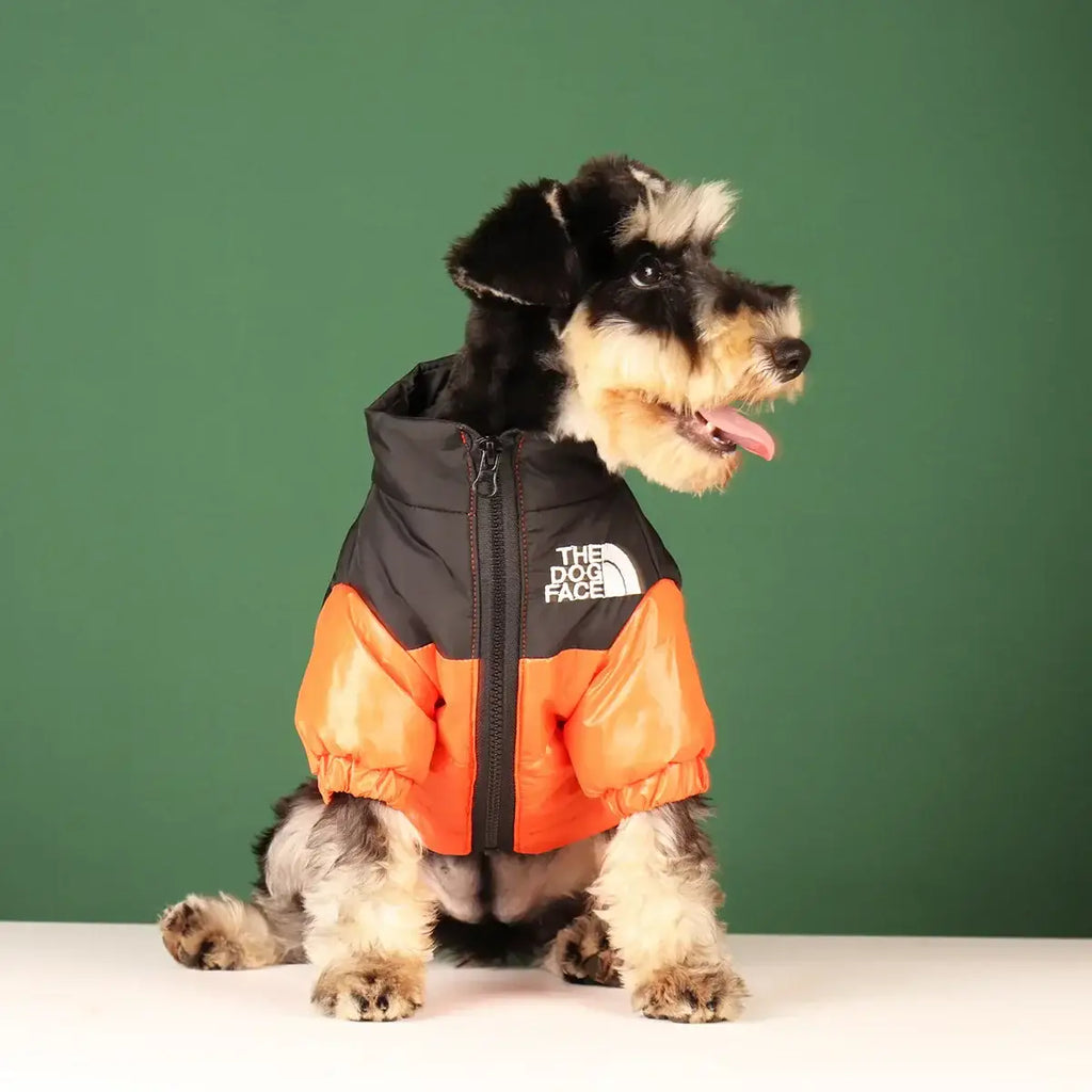 Veste réfléchissante d’hiver pour chien