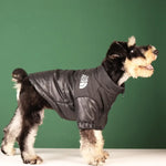 Veste réfléchissante d’hiver pour chien